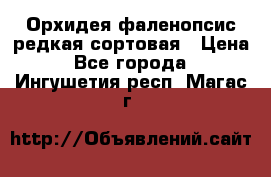 Орхидея фаленопсис редкая сортовая › Цена ­ 800 - Все города  »    . Ингушетия респ.,Магас г.